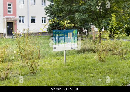 Unbebaute Wiese für Bienen und andere Insekten in einem städtischen Gebiet. Das Informationsschild des Vermieters Vonovia und der NGO NABU befindet sich auf dem Grundstück. Stockfoto