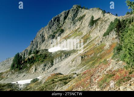 Denman Peak ab Pinnacle Saddle, Mt. Rainier National Park, Washington Stockfoto