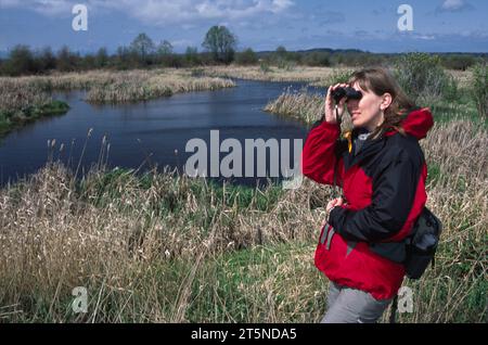 Teich am Ring Dike Trail, Nisqually National Wildlife Refuge, Washington Stockfoto