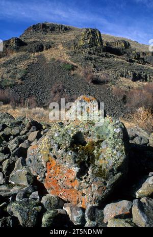 Flechtenbedeckte Felsen im Umtanum Creek Canyon, Yakima River Canyon Scenic and Recreational Highway, Wenas State Wildlife Area, Washington Stockfoto