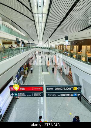 Peking, China, Weitwinkelblick von innen auf den internationalen Flughafen Beijing Daxing, Hochwinkel, Halle, moderne Architektur, (Architektenkredit: Zaha Hadid) Stockfoto