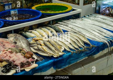 Verschiedene Fischarten werden auf dem Fischmarkt ausgestellt Stockfoto