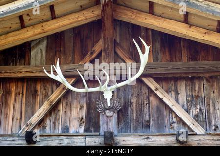 Geweih auf einer Hütte in Südtirol Stockfoto