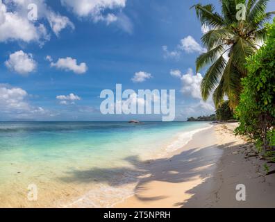 Wunderschöner Strand, türkisfarbenes Meer und blauer Himmel, Palmen auf der Insel Seychellen Stockfoto