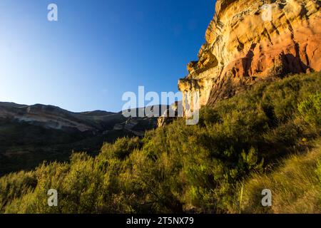 Blick auf die majestätischen und imposanten Gold- und ockerfarbenen Sandsteinklippen im Golden Gate Highlands National Park. Stockfoto