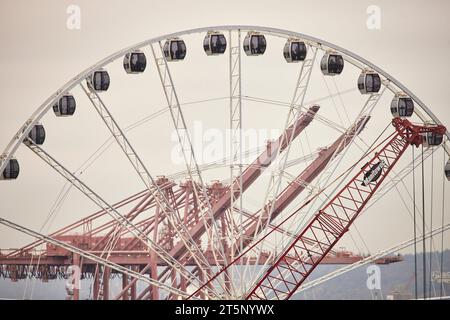 Das Seattle Great Wheel am Pier Seattle, Washington, USA Stockfoto