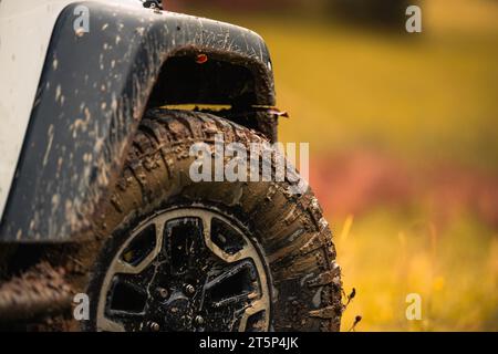 Muddy Wilderness Trail Off-Road-Thema. Fahrzeug Mit Allradantrieb Fahren. Stockfoto