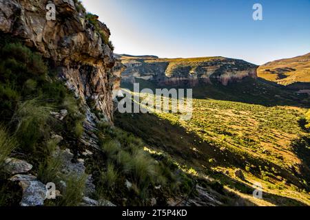 Sandsteinklippen und afroalpine Graslandschaften des Golden Gate Highlands National Park in den Drakensberg Mountains in Südafrika. Stockfoto