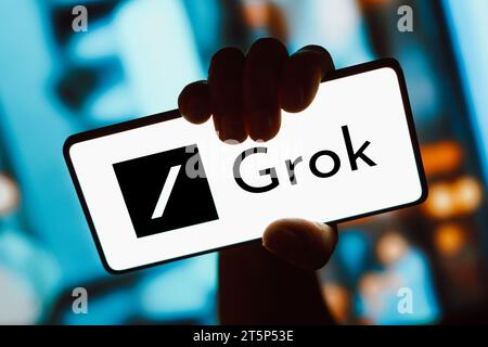 Brasilien. November 2023. In dieser Abbildung wird das Grok-Logo auf einem Smartphone-Bildschirm angezeigt. GROK ist ein Chatbot mit künstlicher Intelligenz, der mit dem sozialen Netzwerk X verbunden ist, das von Elon Musk geschaffen wurde. (Foto von Rafael Henrique/SOPA Images/SIPA USA) *** ausschließlich für redaktionelle Nachrichten *** Credit: SIPA USA/Alamy Live News Stockfoto