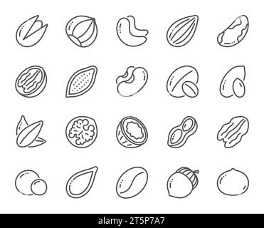 Symbole für Nüsse und Seeds. Haselnuss, Mandelnuss und Erdnuss. Vektor Stock Vektor