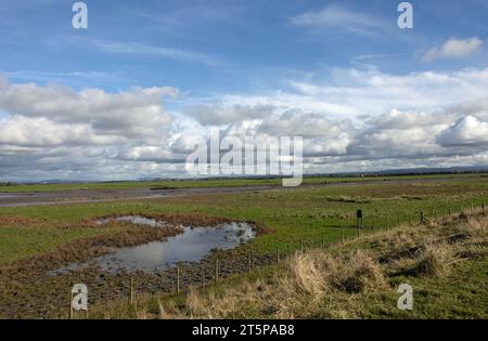 Wassergesäumtes Sumpfgebiet am Fluss Douglas mit Fernsicht auf die Bleasdale Fells und die West Pennine Moors von Hesketh Bank Lancashire England Stockfoto