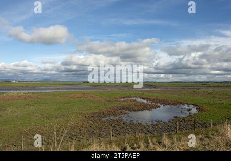 Wassergesäumtes Sumpfgebiet am Fluss Douglas mit Fernsicht auf die Bleasdale Fells und die West Pennine Moors von Hesketh Bank Lancashire England Stockfoto