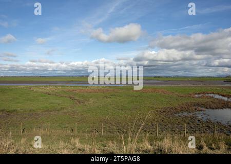 Wassergesäumtes Sumpfgebiet am Fluss Douglas mit Fernsicht auf die Bleasdale Fells und die West Pennine Moors von Hesketh Bank Lancashire England Stockfoto