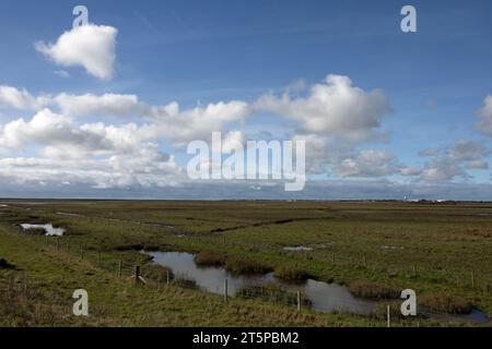 Die Ribble Marshes mit Blick auf den River Ribble und die Fylde Coast bei Warton und Lytham Stockfoto