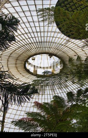 Kibble Palace in Glasgows Botanischen Gärten. Foto von der Glaskuppel. Foto im Oktober 2023 Stockfoto