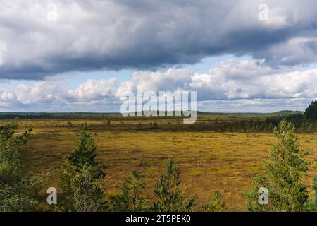 Blick auf die Sümpfe an einem bewölkten Tag vom Kurjenrahka Nationalpark in Finnland. Stockfoto