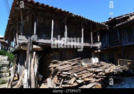 Soto de Agues, traditionelle Getreidefabrik (horreo). Naturpark Redes, Asturien, Spanien. Stockfoto