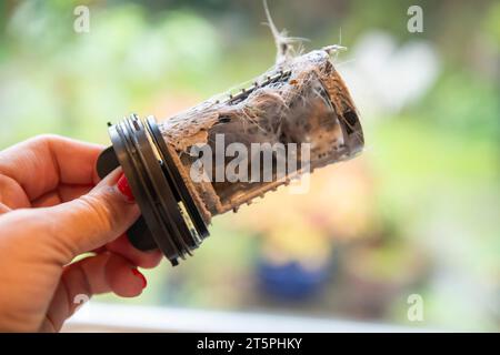 Ein verstopfter verschmutzter Filter aus der Waschmaschine wird entfernt und gereinigt, um die Verstopfung zu beheben. Stockfoto