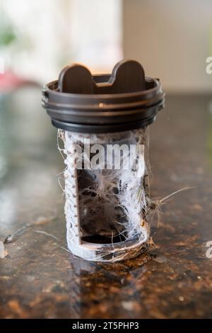 Ein verstopfter verschmutzter Filter aus der Waschmaschine wird entfernt und gereinigt, um die Verstopfung zu beheben. Stockfoto