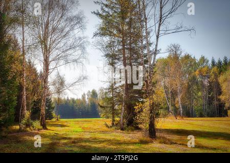 DE - BAYERN: Herbstliche Moorlandschaft bei Bichl, Oberbayern Stockfoto