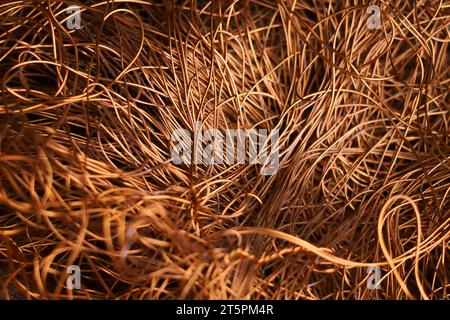 Metalldrahtstruktur. Industrieller elektischer Hintergrund, Tapete. Farbiges Metall. Teure Ressource. Stockfoto