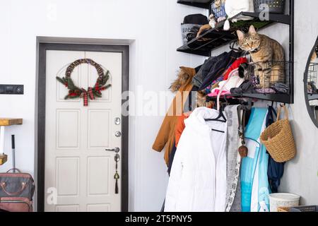 Eine Eingangshalle mit Oberbekleidung auf einem Kleiderbügel, eine Hauskatze sitzt in einem Korb auf einem Regal für Hüte. Chaos im Flur. Die Eingangstür im Flur des Stockfoto