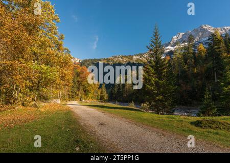 Ausblicke entlang und im Herbstlaub, Herbstsaison im engen Engtal oder Engtal, Hinterriss, Tirol, Österreich, Europa Stockfoto