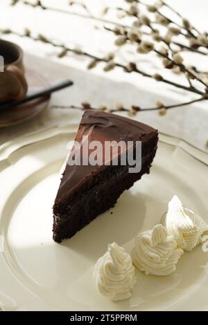 Sacher Torte, österreichischer Schokoladenkuchen Stockfoto