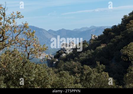 Landschaft im Hintergrund des Gebirges La Serrella in der Provinz Alicante vom Naturpark Fuente Roja in Alcoi, Spanien Stockfoto