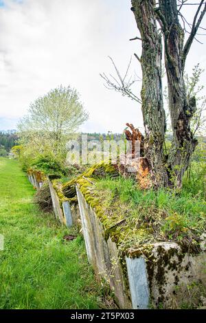 Ehemalige Panzersperre, aufgewertet zu einem Naturschutzgebiet und Grünkorridor Stockfoto