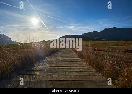 Holzweg auf der Seiser Alm, Südtirol Stockfoto