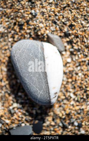 Nahaufnahme eines Steines an einem Sandstrand Stockfoto