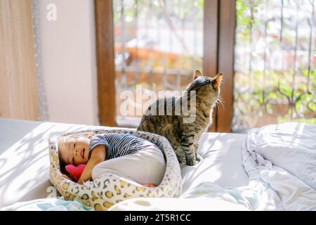 Kleines Mädchen, das sich in einem Katzenbett in der Nähe einer sitzenden Katze auf dem Bett zusammengerollt hat Stockfoto