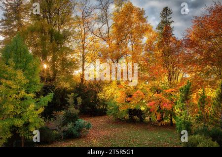 DE - BAYERN: Herbstliche Gartenszene entlang der Isar bei Bad Toelz, Oberbayern Stockfoto