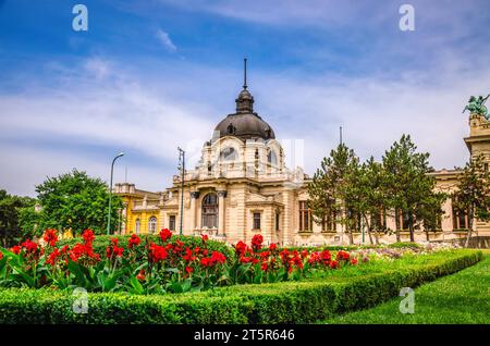 Szechenyi medizinische Thermalbäder und Spa Stockfoto