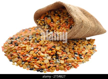 Gemischte Daal- oder Mehrfachlinsen Stockfoto