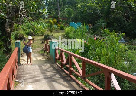 Pfad zu den Wasserfällen, Evergreen Cascades Wasserfall, Mele Maat, Vanuatu. Stockfoto