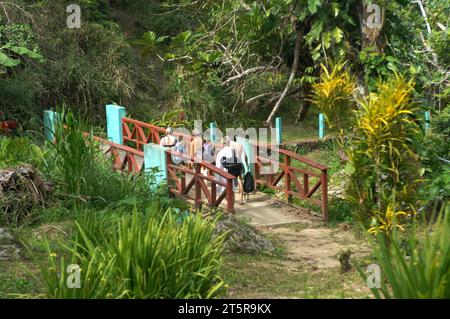 Pfad zu den Wasserfällen, Evergreen Cascades Wasserfall, Mele Maat, Vanuatu. Stockfoto