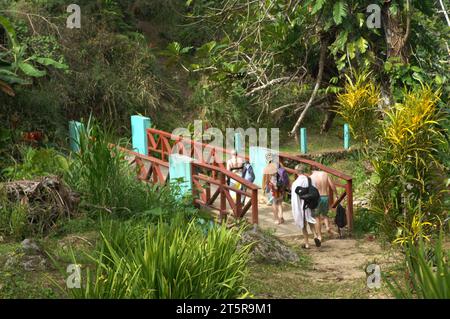 Pfad zu den Wasserfällen, Evergreen Cascades Wasserfall, Mele Maat, Vanuatu. Stockfoto