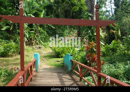 Pfad zu den Wasserfällen, Evergreen Cascades Wasserfall, Mele Maat, Vanuatu. Stockfoto