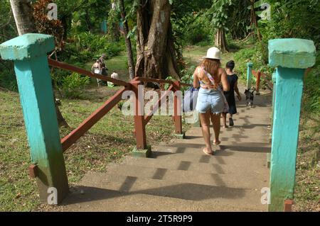 Pfad zu den Wasserfällen, Evergreen Cascades Wasserfall, Mele Maat, Vanuatu. Stockfoto