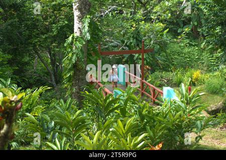 Pfad zu den Wasserfällen, Evergreen Cascades Wasserfall, Mele Maat, Vanuatu. Stockfoto