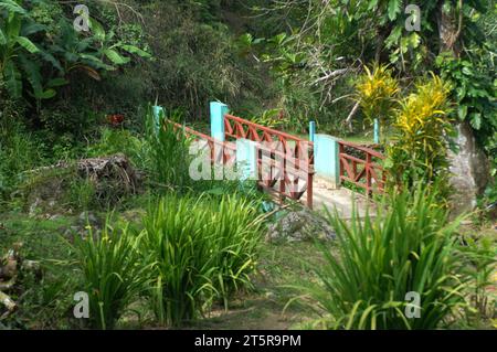 Pfad zu den Wasserfällen, Evergreen Cascades Wasserfall, Mele Maat, Vanuatu. Stockfoto
