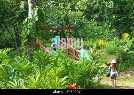 Pfad zu den Wasserfällen, Evergreen Cascades Wasserfall, Mele Maat, Vanuatu. Stockfoto
