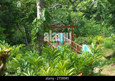 Pfad zu den Wasserfällen, Evergreen Cascades Wasserfall, Mele Maat, Vanuatu. Stockfoto