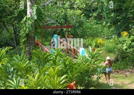 Pfad zu den Wasserfällen, Evergreen Cascades Wasserfall, Mele Maat, Vanuatu. Stockfoto