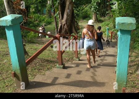 Pfad zu den Wasserfällen, Evergreen Cascades Wasserfall, Mele Maat, Vanuatu. Stockfoto