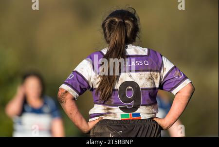 Englische Amateur-Rugby-Union-Spielerin mit einem schmutzigen und matschigen Rugbyshirt. Stockfoto