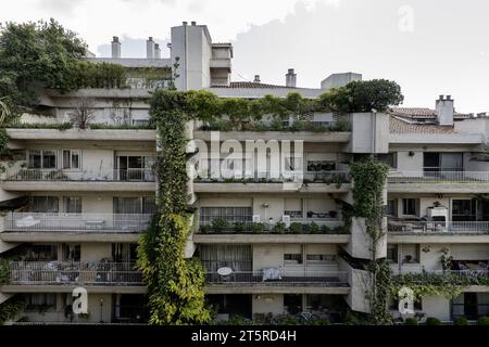 Frontalansicht der Fassade einer Urbanisierung von Betonbauten mit großen Weinstöcken zwischen Balkonen entlang der Fassaden Stockfoto
