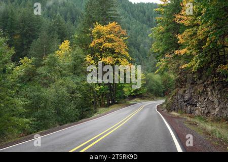 Die herbstliche Farbe setzt sich an der einsamen Bergstraße am South Santiam River durch die Cascade Mountains in Zentral-Oregon ein. Stockfoto